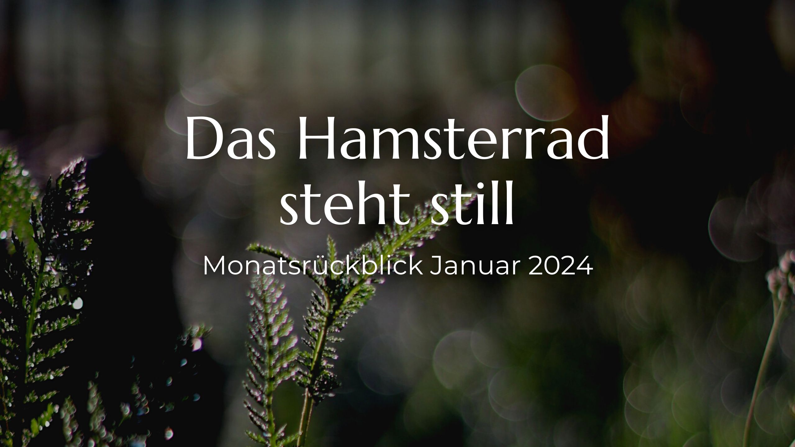 Das Hamsterrad steht still. Monatsrückblick Januar 2024