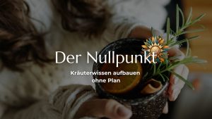 Der Nullpunkt – Kräuterwissen aufbauen ohne Plan