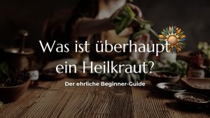 Was ist überhaupt ein Heilkraut? Der ehrliche Beginner-Guide