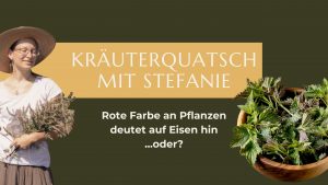 Kräuterquatsch Vol. 1: Deutet das Rote an Pflanzen auf Eisen hin?